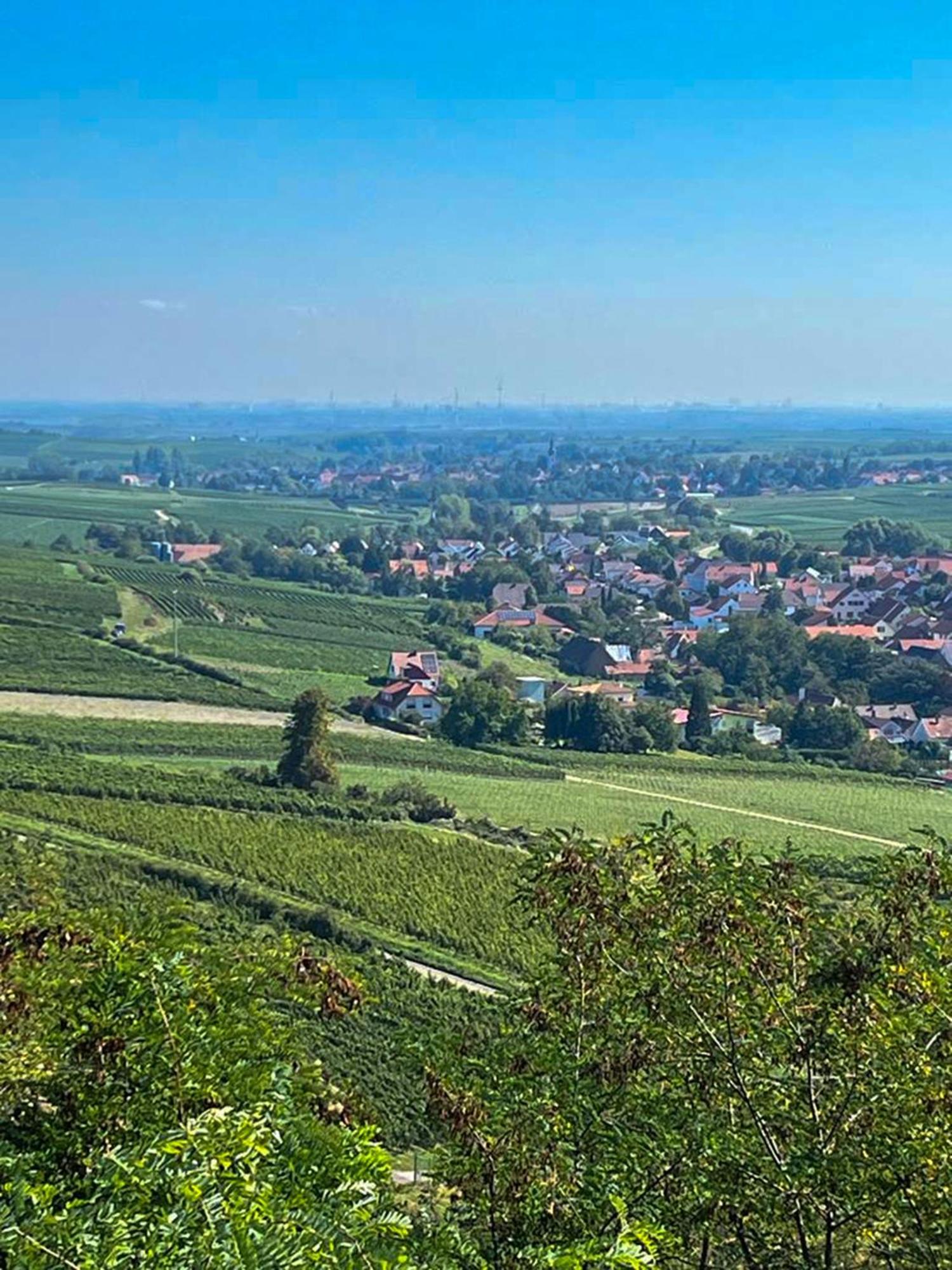 Hotel Zum Burggraf Neuleiningen Bagian luar foto